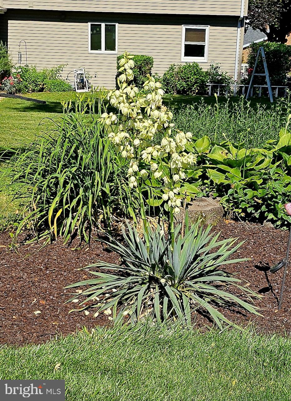 2404 Rye Circle Mechanicsburg, PA 17055 - Photo 30 of 35