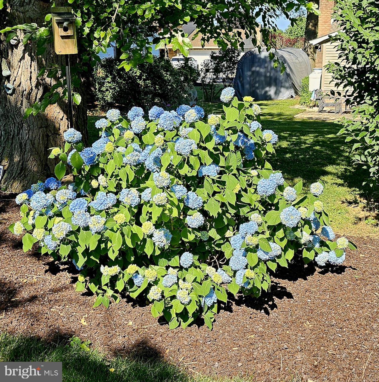 2404 Rye Circle Mechanicsburg, PA 17055 - Photo 31 of 35