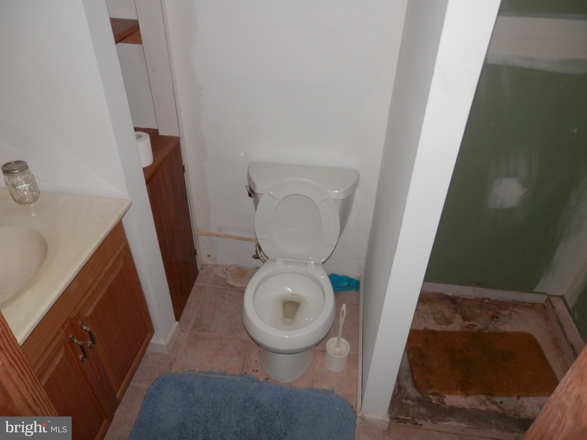 77 South Ralph Street Westminster, MD 21157 - Photo 14 of 15 Bath
