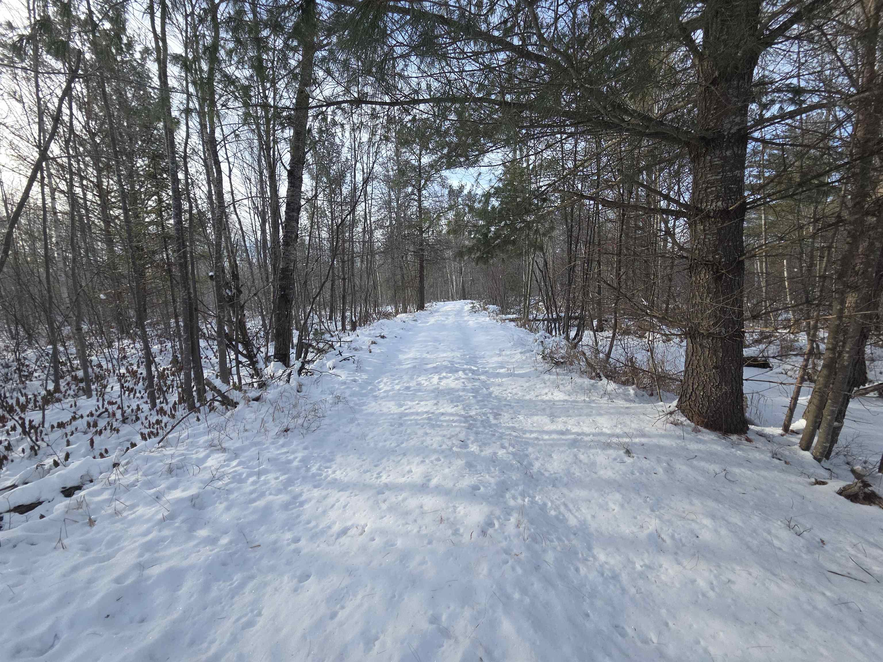 0 South Barlow Road Mikado, MI 48745 - Photo 8 of 28