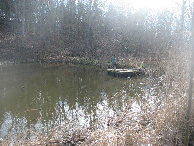 1370 Mays Road Lawrenceburg, KY 40342 - Photo 14 of 24 Photo 14
