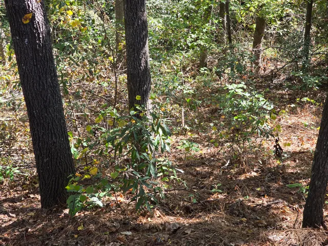 $90,000 | 937 Bennock Mill Road, Augusta, GA 30906