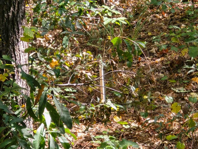 $90,000 | 937 Bennock Mill Road, Augusta, GA 30906