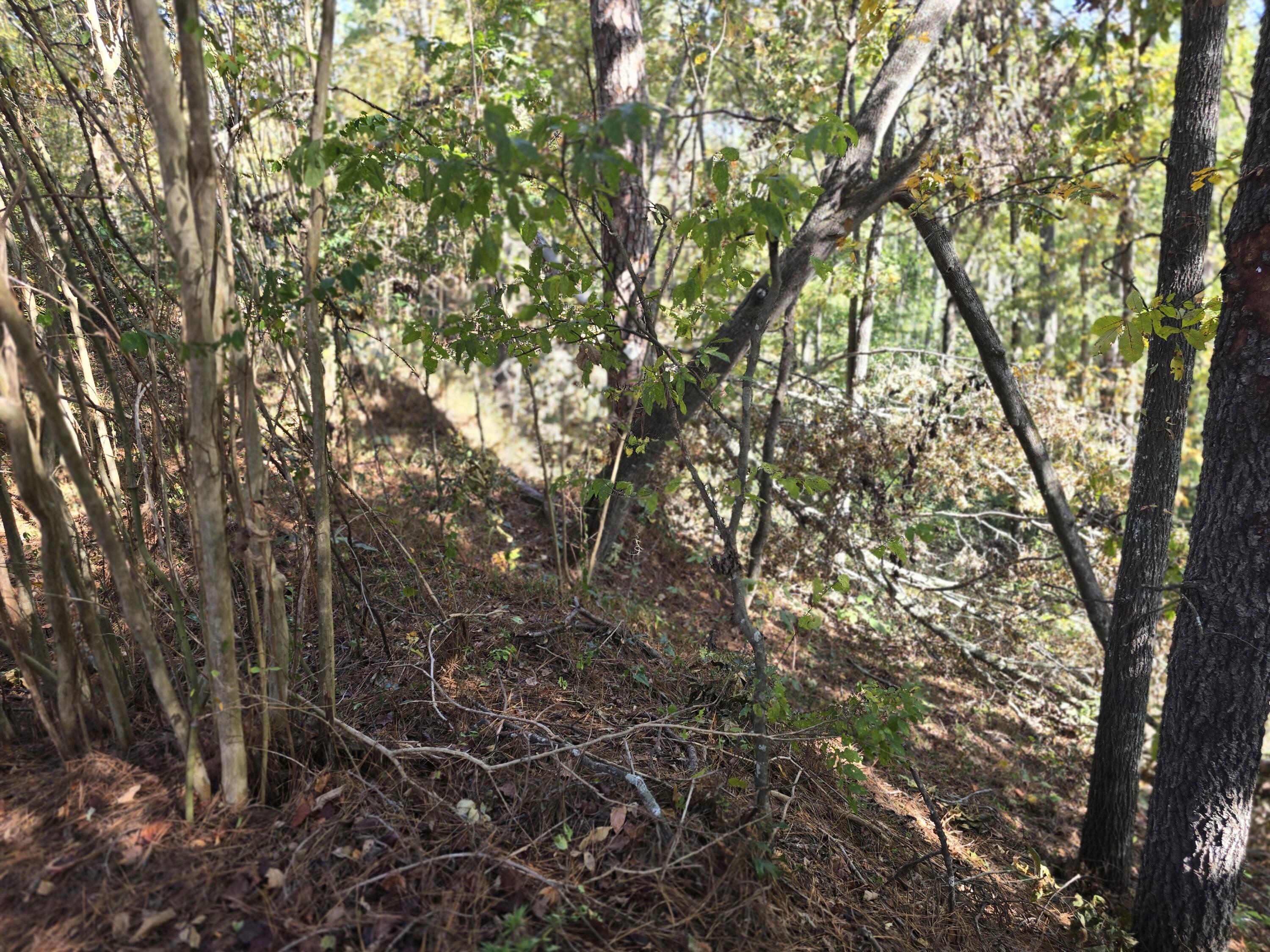 937 Bennock Mill Road Augusta, GA 30906 - Photo 13 of 14 20251024_112306