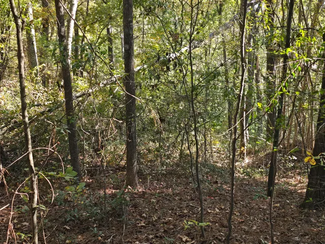 $90,000 | 937 Bennock Mill Road, Augusta, GA 30906