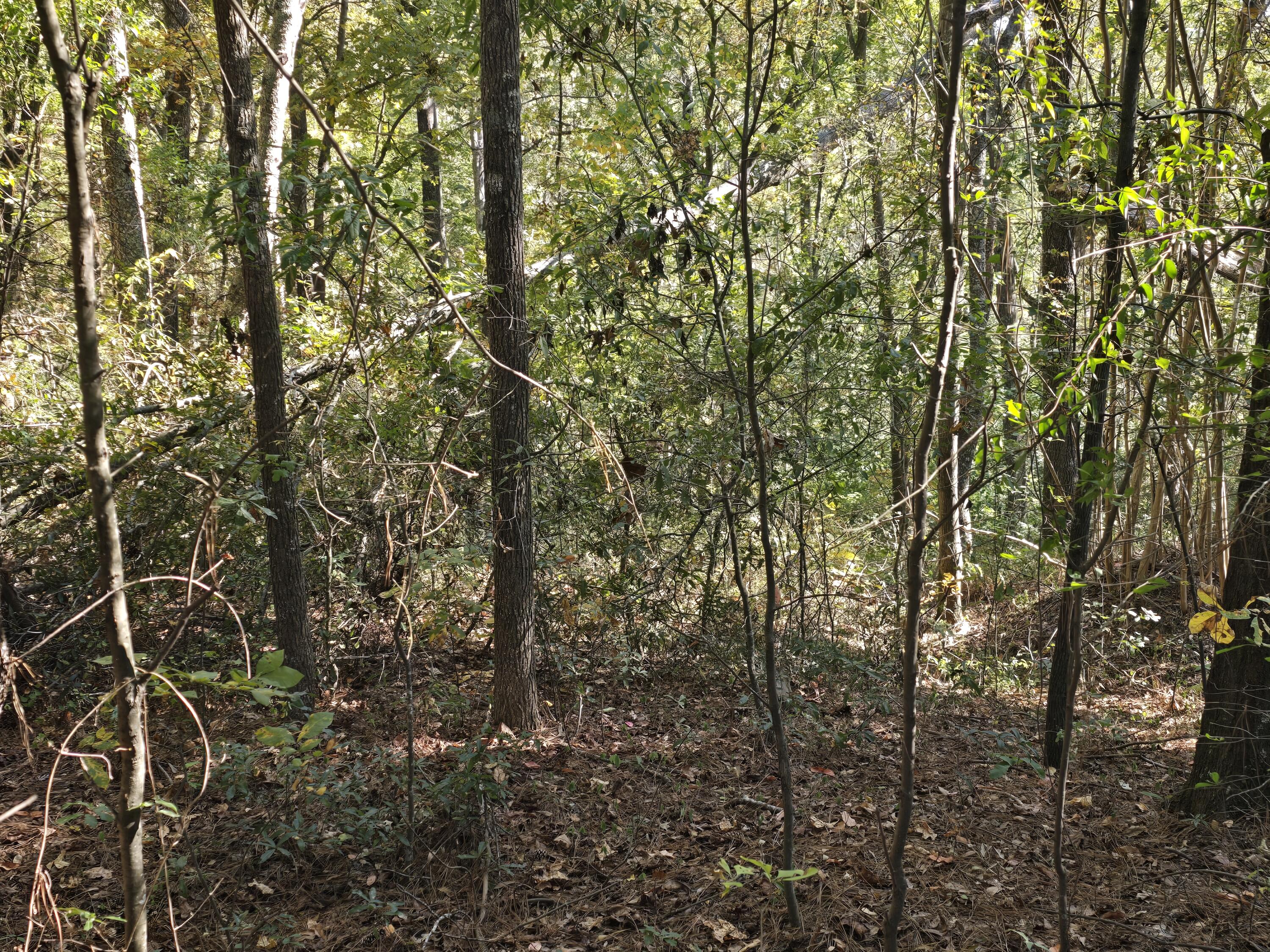 937 Bennock Mill Road Augusta, GA 30906 - Photo 6 of 14 20251024_111906