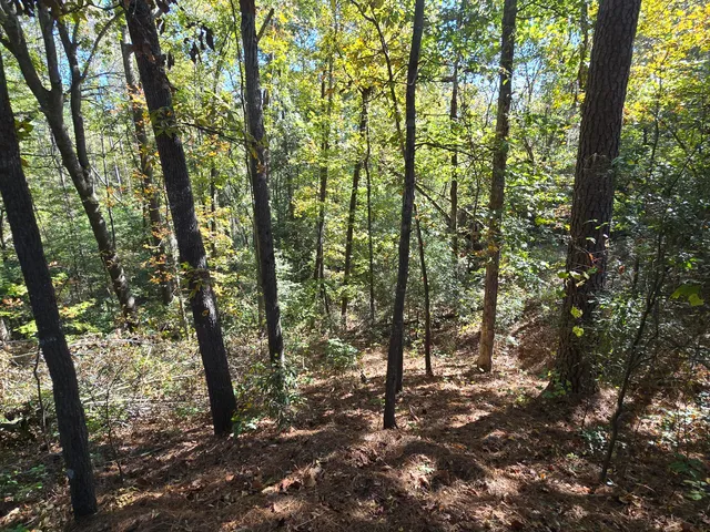 $90,000 | 937 Bennock Mill Road, Augusta, GA 30906