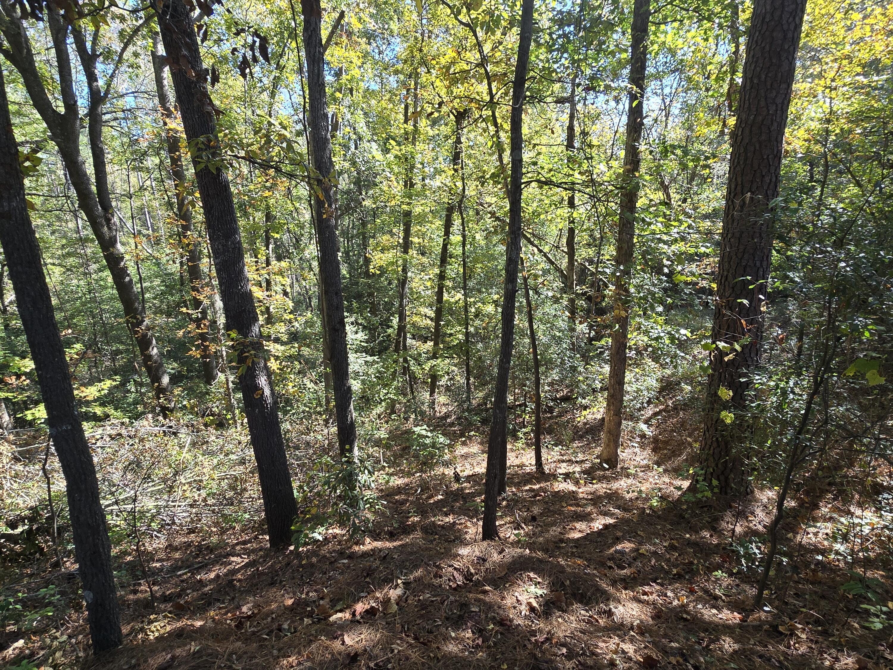 937 Bennock Mill Road Augusta, GA 30906 - Photo 9 of 14 20251024_112236