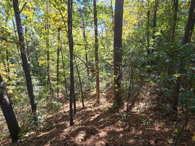 $90,000 | 937 Bennock Mill Road, Augusta, GA 30906