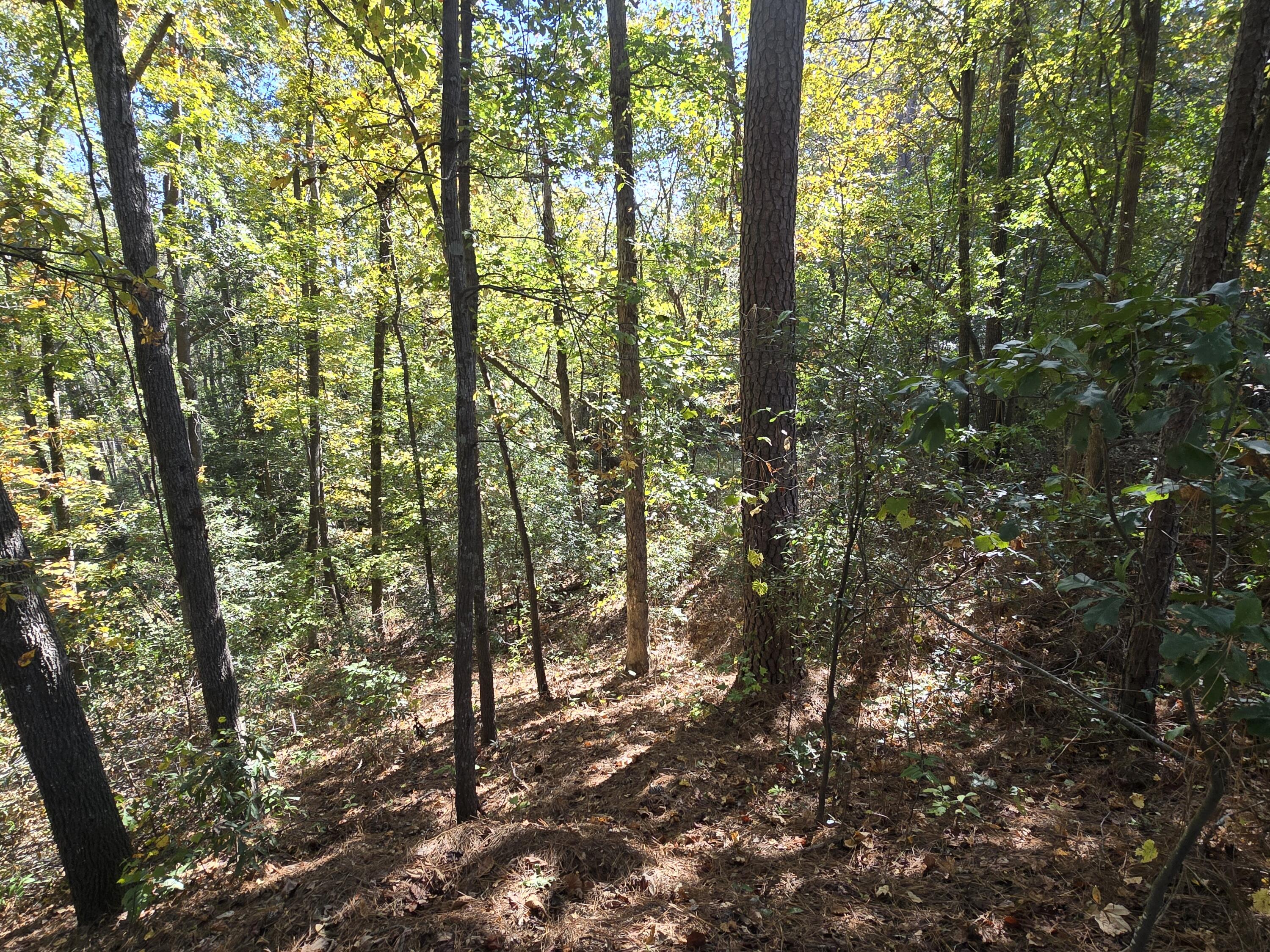 937 Bennock Mill Road Augusta, GA 30906 - Photo 10 of 14 20251024_112237