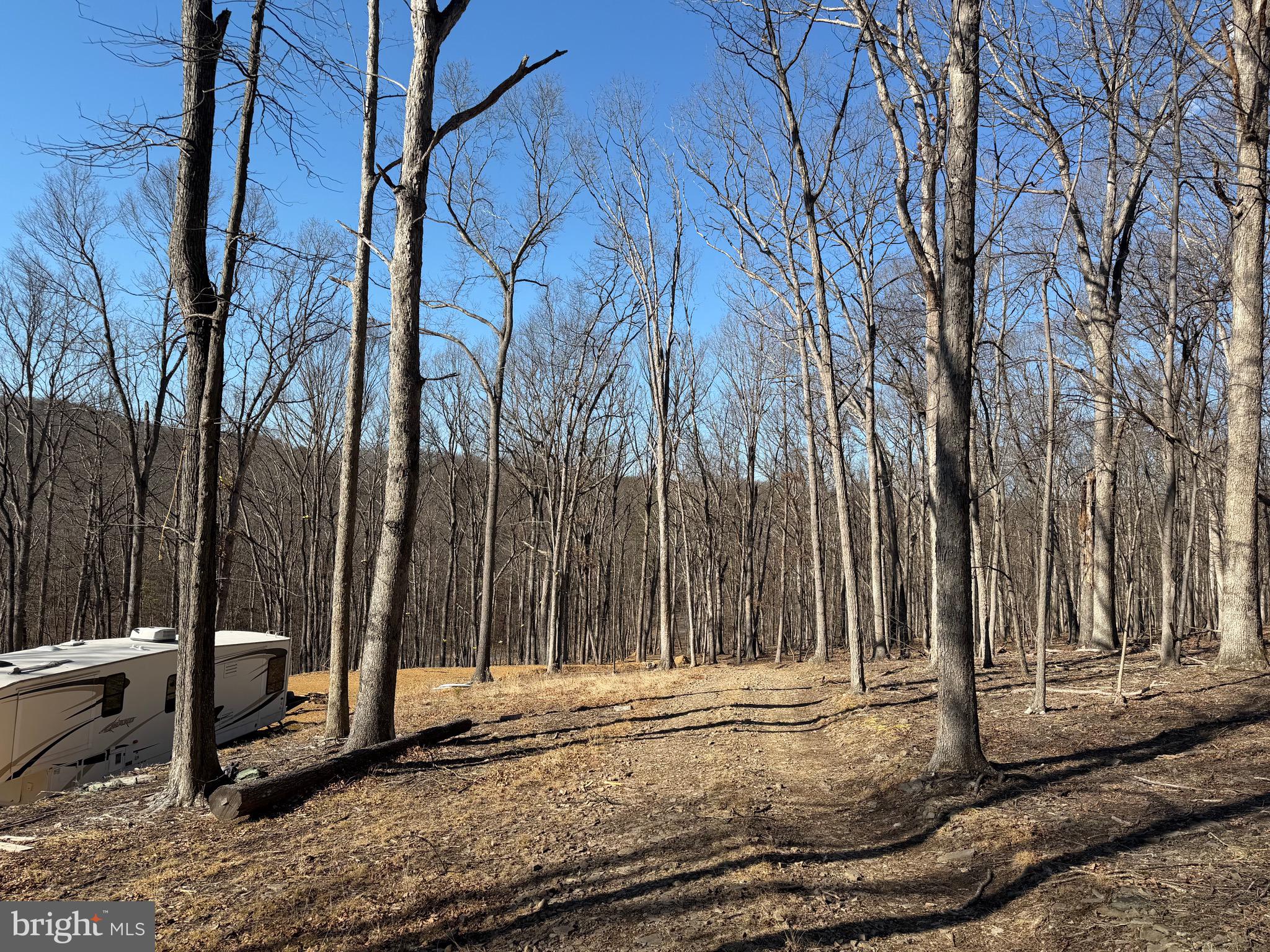 Goldsborough Road Springfield, WV 26763 - Photo 9 of 18