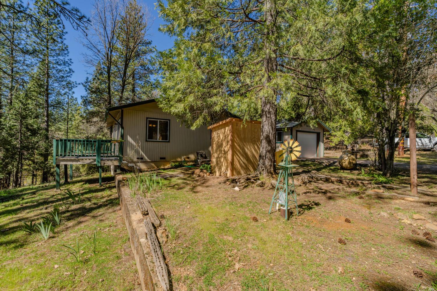 14371 Tobacco Road Pine Grove, CA 95665 - Photo 31 of 38 a view of backyard with wooden fence and large trees