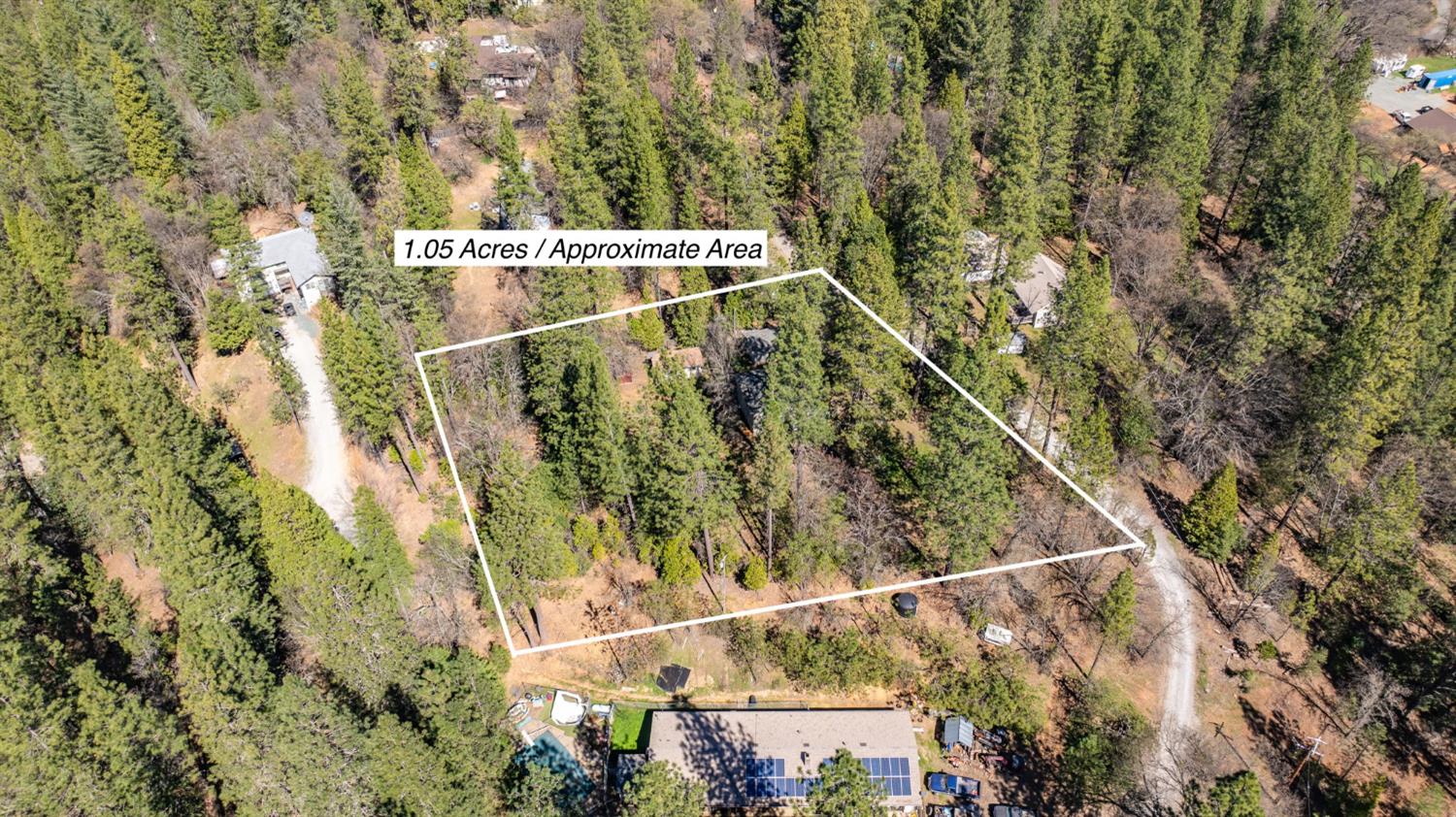 14371 Tobacco Road Pine Grove, CA 95665 - Photo 35 of 38 a view of a yard