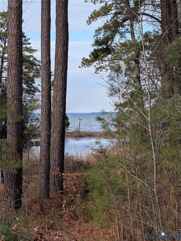 947 South Salisbury Road Hague, VA 22469 - Photo 3 of 10 a view of a yard with a tree