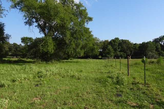 28322 Mellman Road Hempstead, TX 77445 - Photo 45 of 50