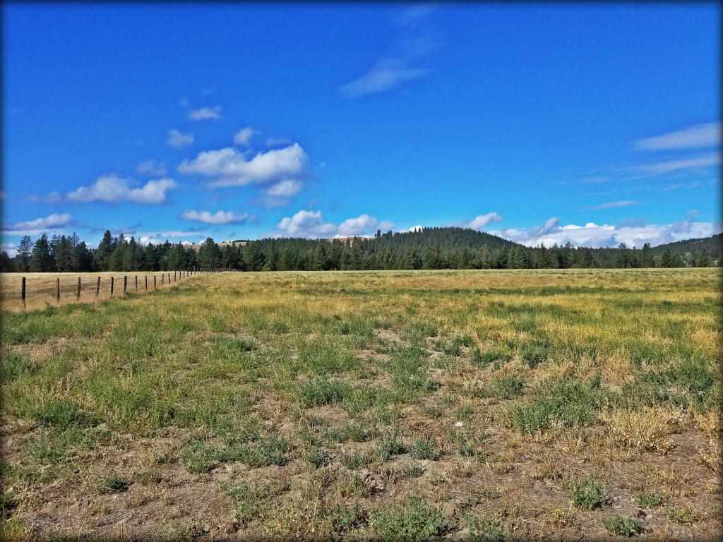Tbd B Bible Road Colville, WA 99114 - Photo 3 of 8