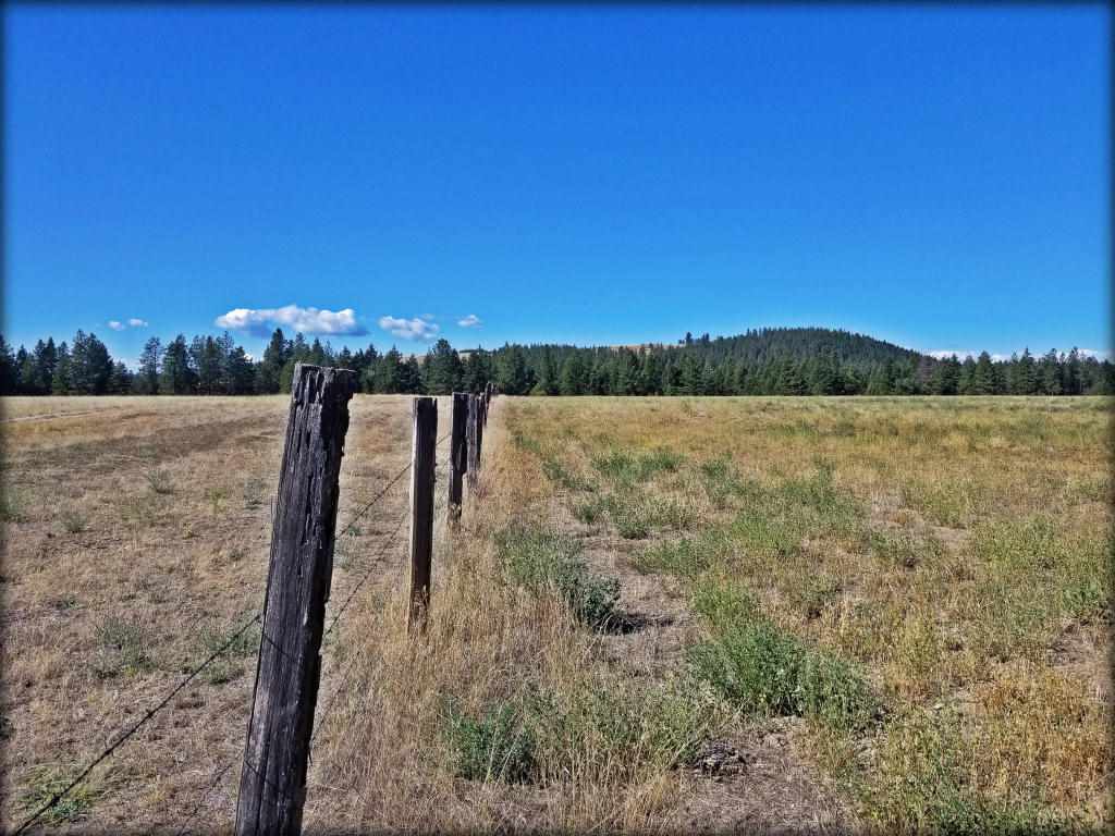 Tbd B Bible Road Colville, WA 99114 - Photo 4 of 8