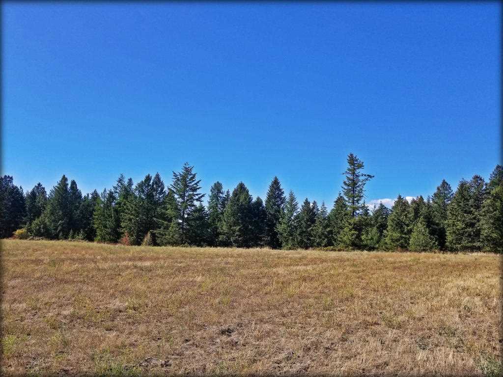 Tbd B Bible Road Colville, WA 99114 - Photo 7 of 8