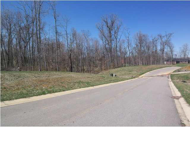 10300 Wolfinger Road Mount Vernon, IN 47620 - Photo 8 of 10 Gallery Image 8