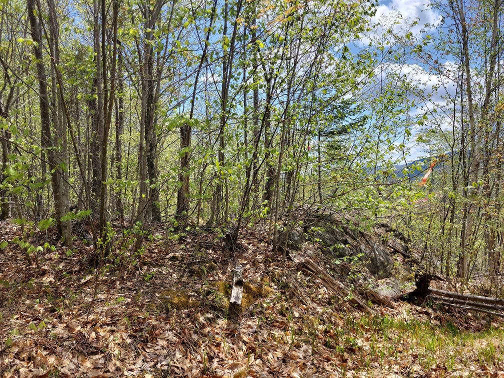Lot 11 Swift River Road Byron, ME 04275 - Photo 20 of 72 photo_78cc4d9e-4747-4d61-be39-37106113fb