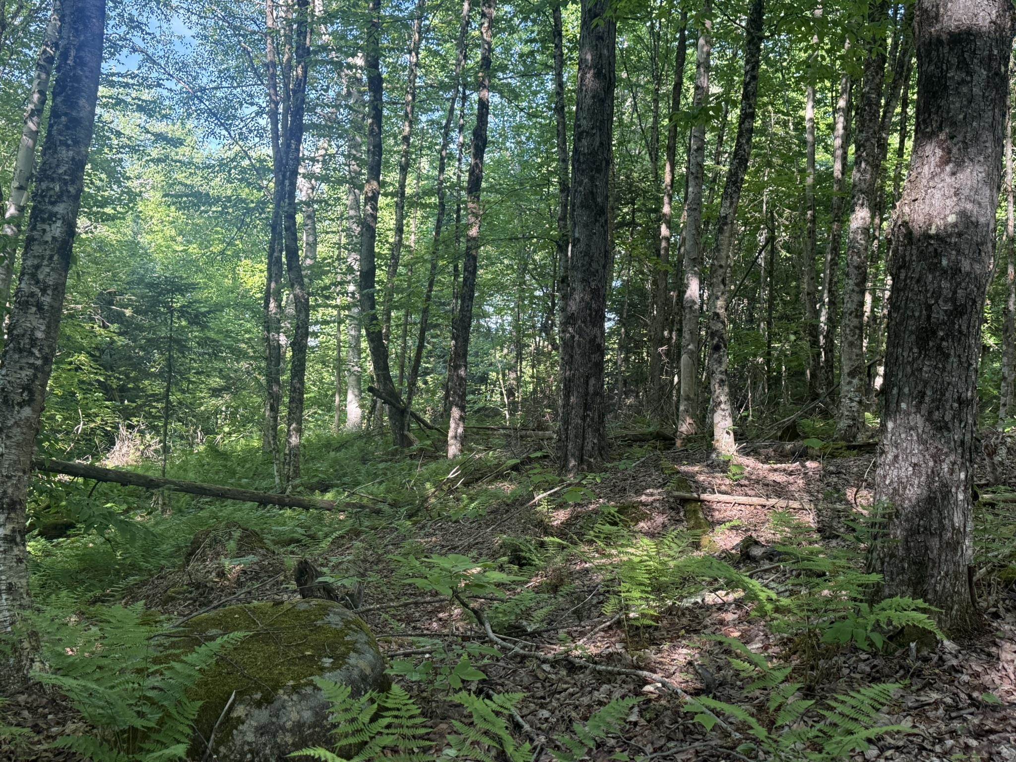 0 Roaring Brook Road Barton, VT 05822 - Photo 6 of 18