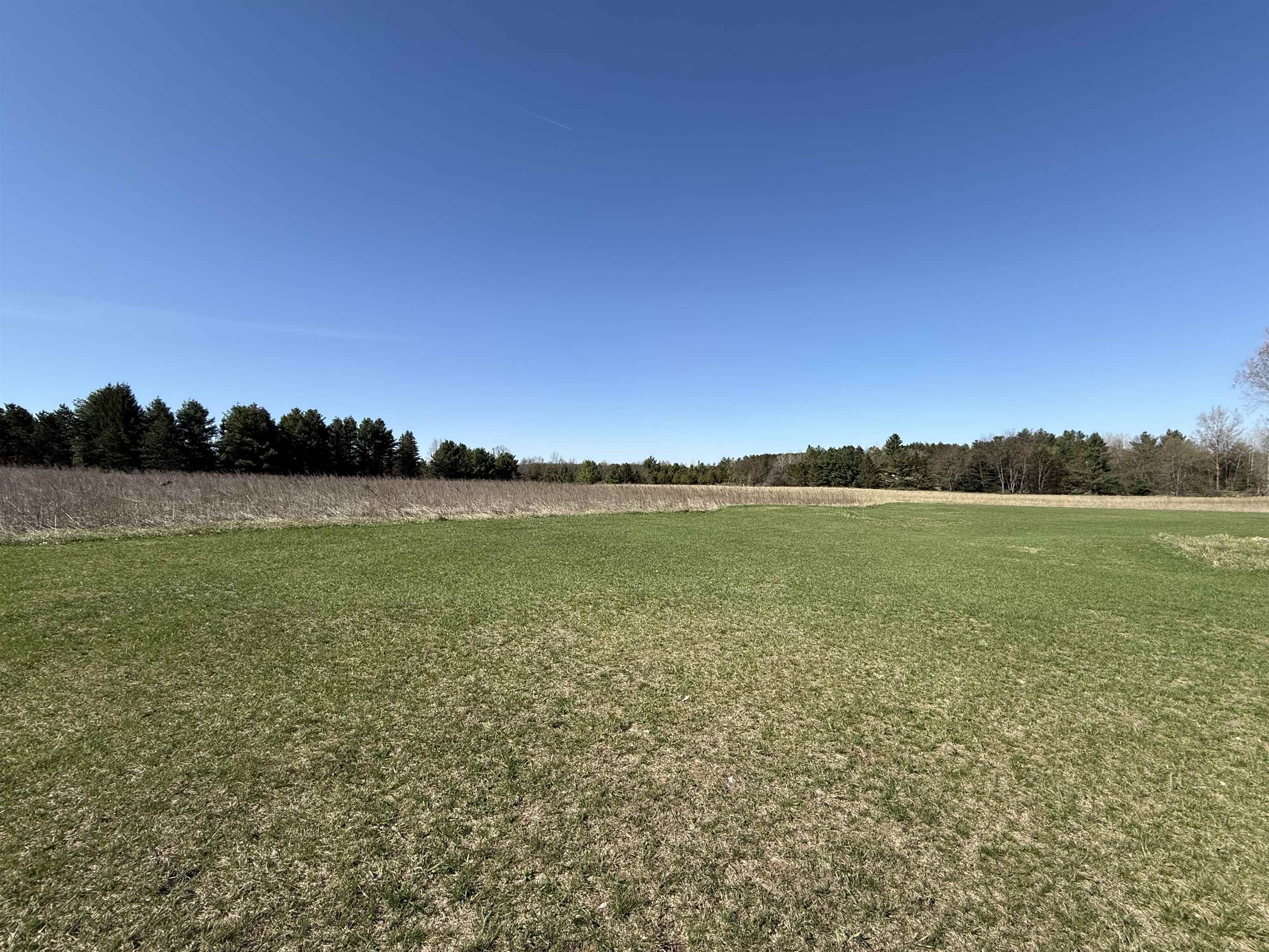 W11453 Mill Creek Road Gresham, WI 54128 - Photo 2 of 5