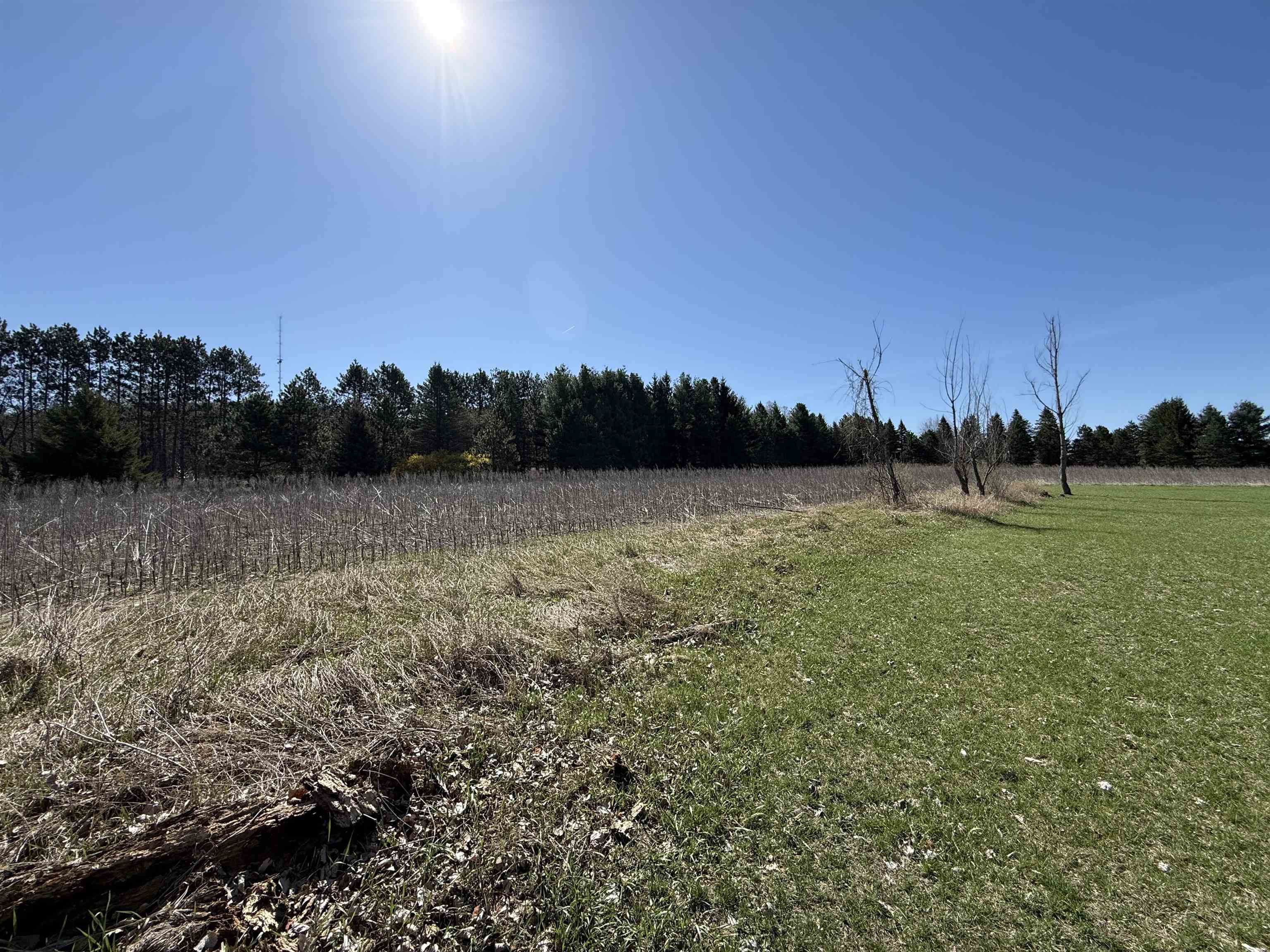 W11453 Mill Creek Road Gresham, WI 54128 - Photo 3 of 5