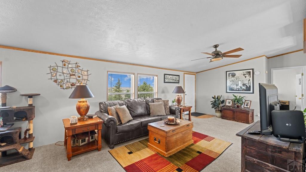 33965 Highway 94 Yoder, CO 80864 - Photo 6 of 10