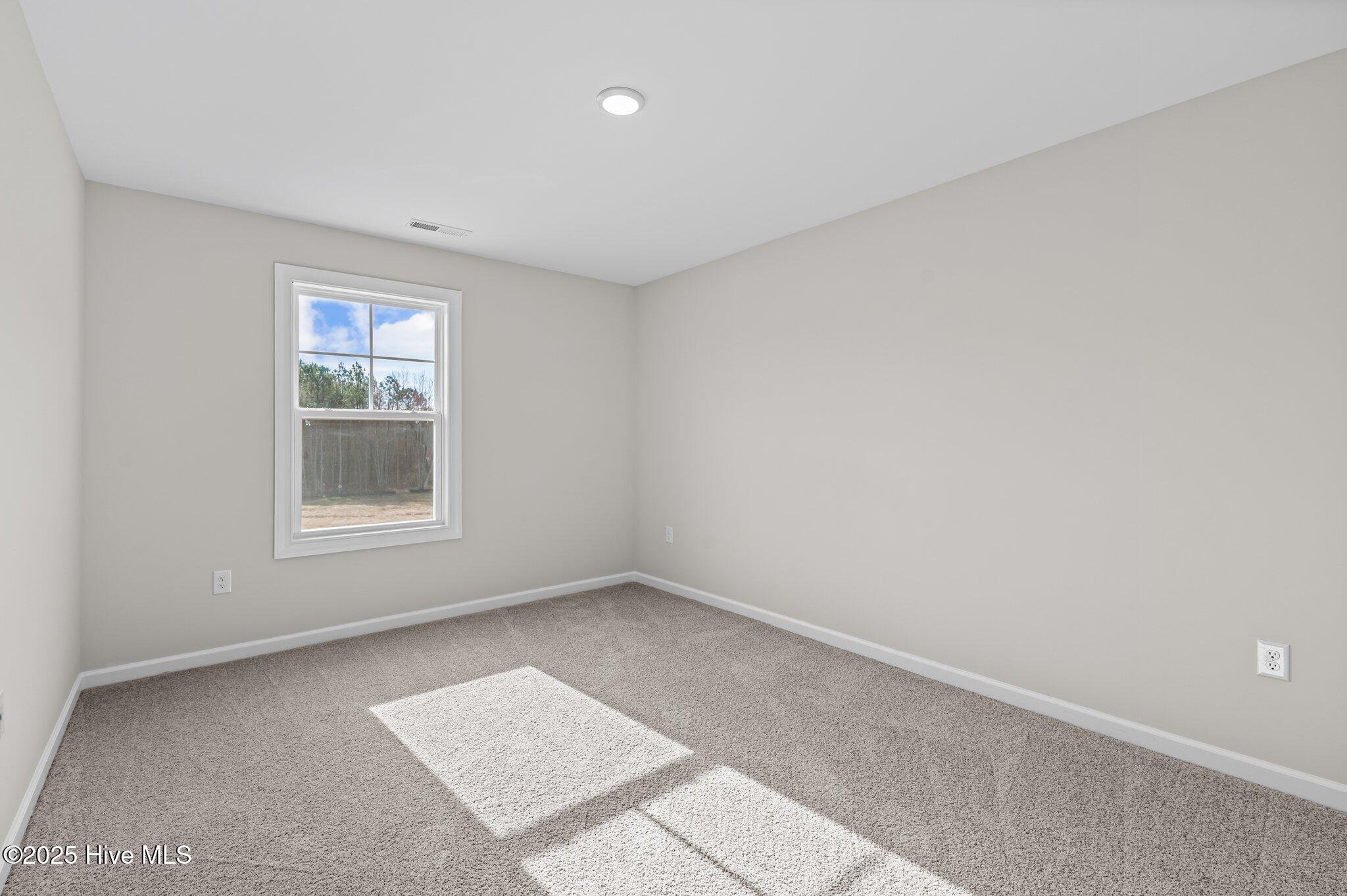 9184 Phoenix Court Spring Hope, NC 27882 - Photo 24 of 35 43-web-or-mls-DSC_2176