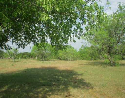 Lot 5 Smith Road Bastrop, TX 78602 - Photo 1 of 1 Exterior Front : Cleared and ready for your dream home!