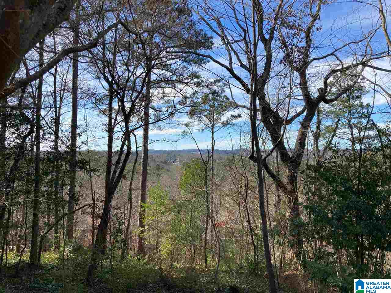 3259 Dell Road Birmingham, AL 35223 - Photo 4 of 6