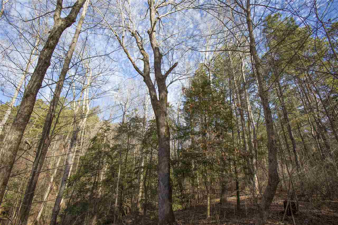 General Green Road Kittrell, NC 27544 - Photo 7 of 17 Photo 7