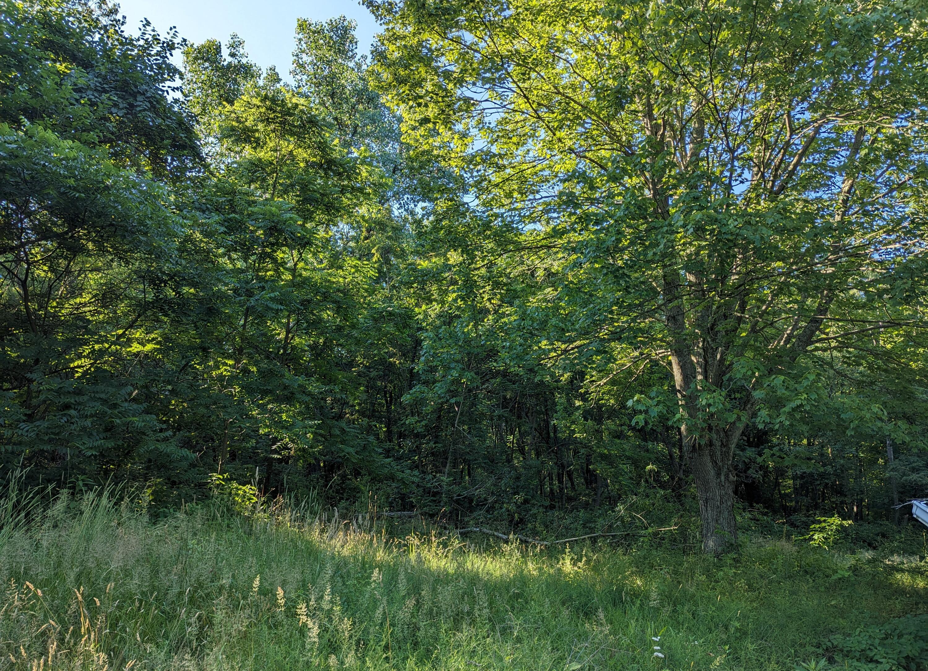 28005 Newcastle Road Howard, OH 43028 - Photo 9 of 15 10