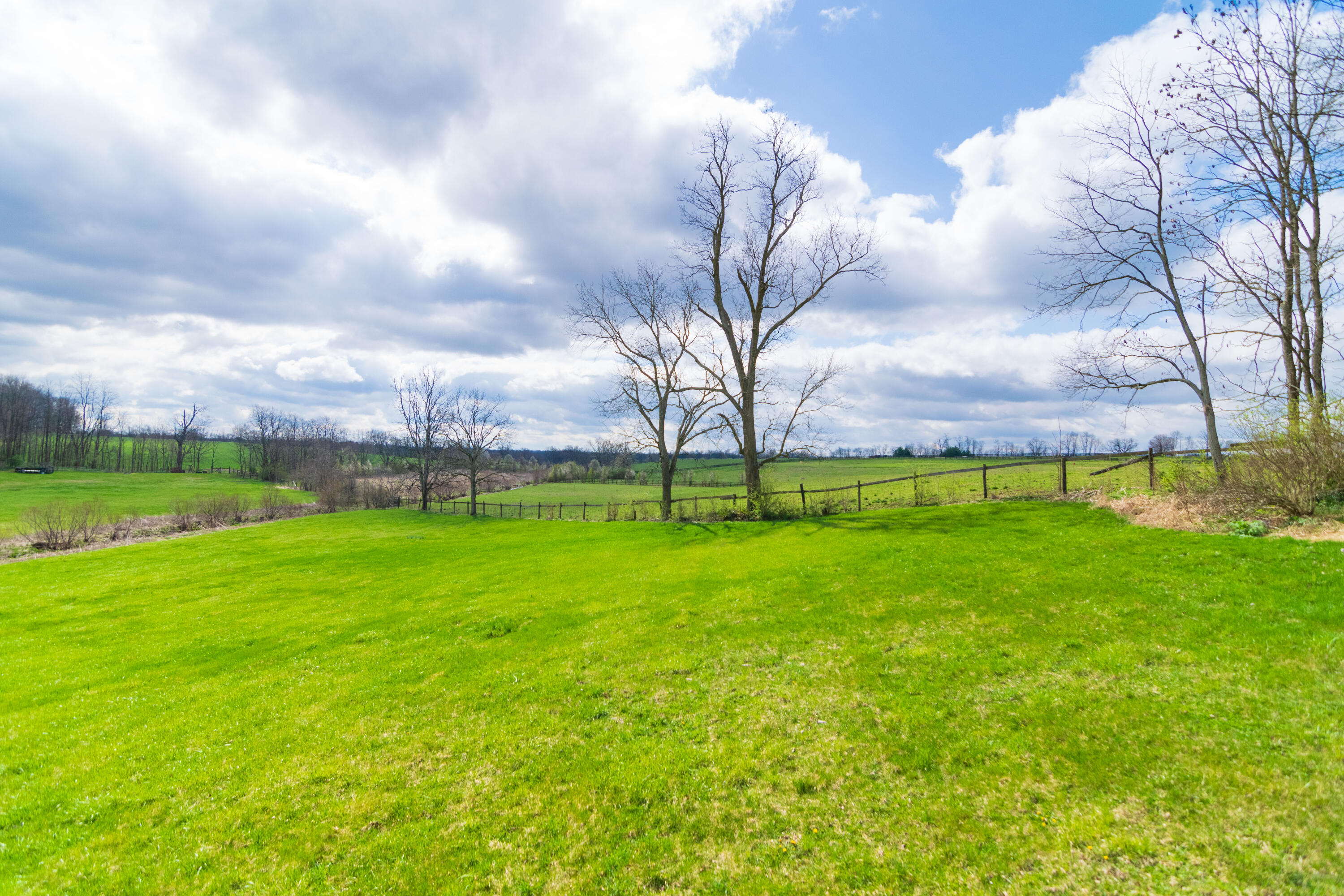 933 Lloyd Road Georgetown, KY 40324 - Photo 46 of 64 933Lloyd-0185