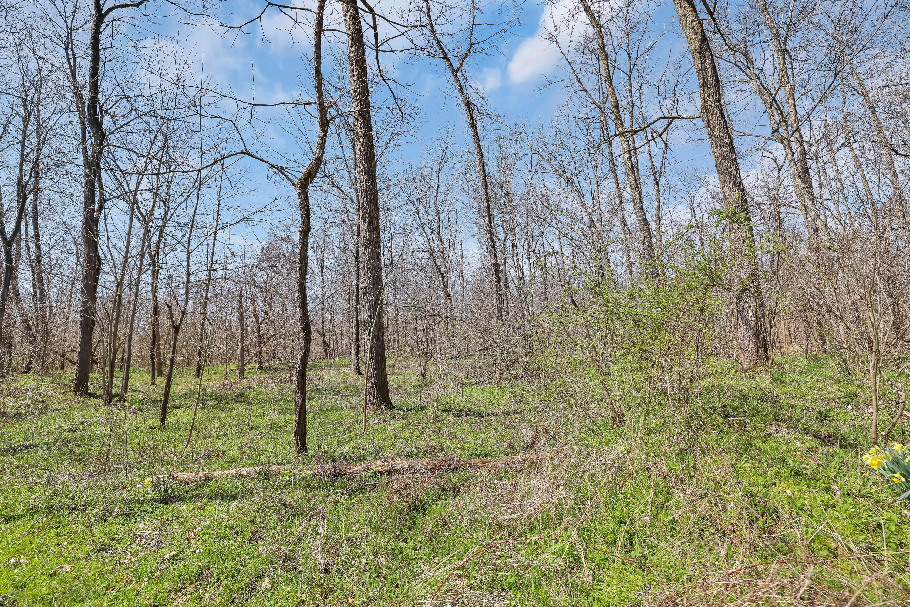 6387 Refugee Road Southwest Etna, OH 43062 - Photo 115 of 117 GR7A7701