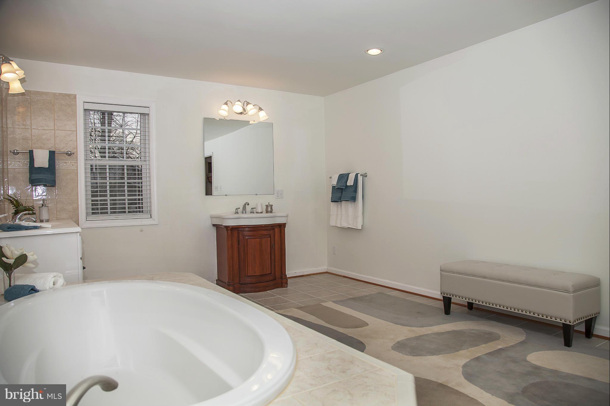 8400 Rainbow Road Vienna, VA 22182 - Photo 22 of 30 Bath (Master)