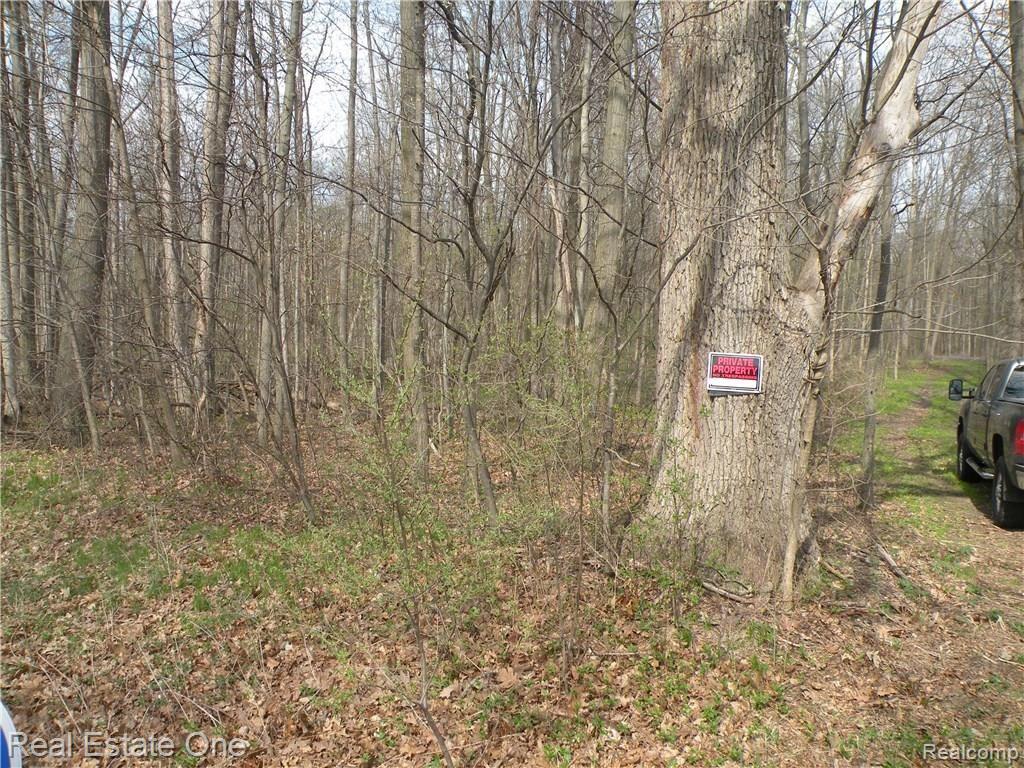 0 Mccormick Road Lapeer, MI 48446 - Photo 9 of 19