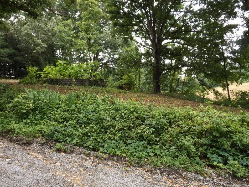 Ridge Dale Road Harrogate, TN 37752 - Photo 3 of 9 Additional Photo