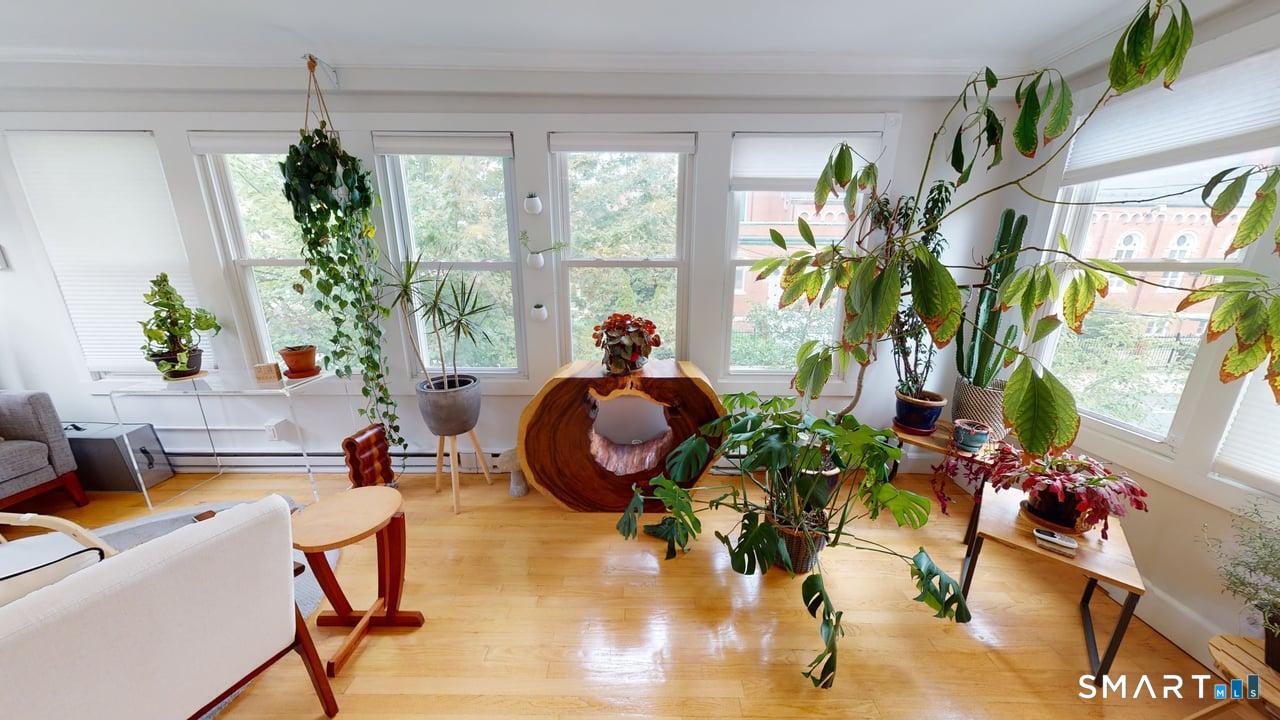 6 Eld Street New Haven, CT 06511 - Photo 15 of 43 a living room filled with furniture chandelier and a potted plant