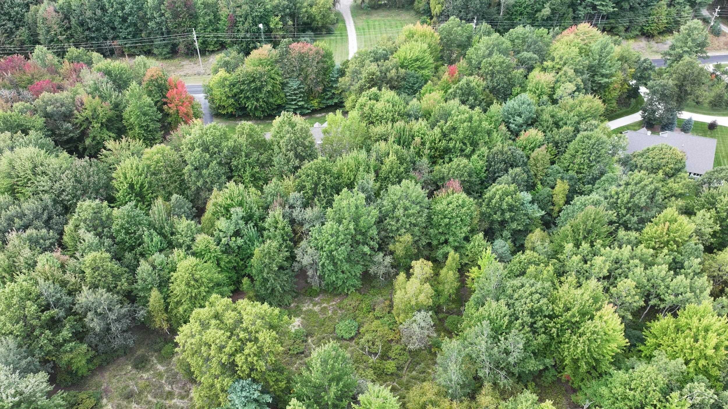 3116 North Gleaner Road Freeland, MI 48623 - Photo 30 of 75 Gallery Image 30