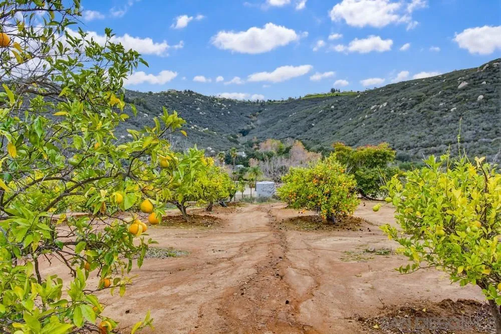 1478 Peutz Valley Road Alpine, CA 91901 - Photo 29 of 63 a view of a pathway with a yard