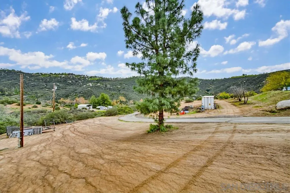 1478 Peutz Valley Road Alpine, CA 91901 - Photo 44 of 63 a view of a yard with a tree