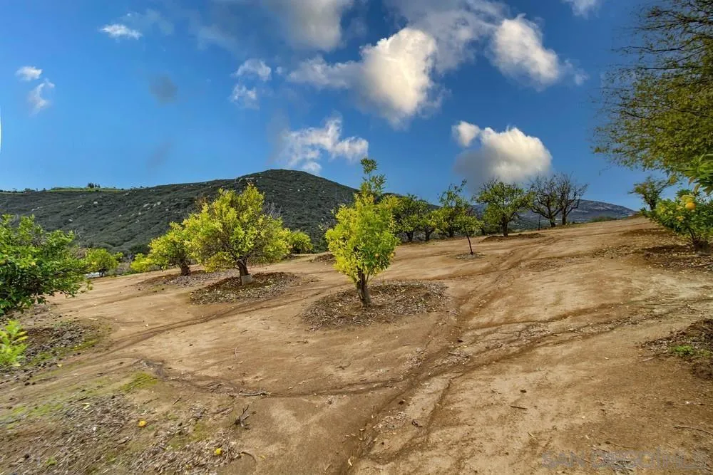 1478 Peutz Valley Road Alpine, CA 91901 - Photo 48 of 63 a view of a yard