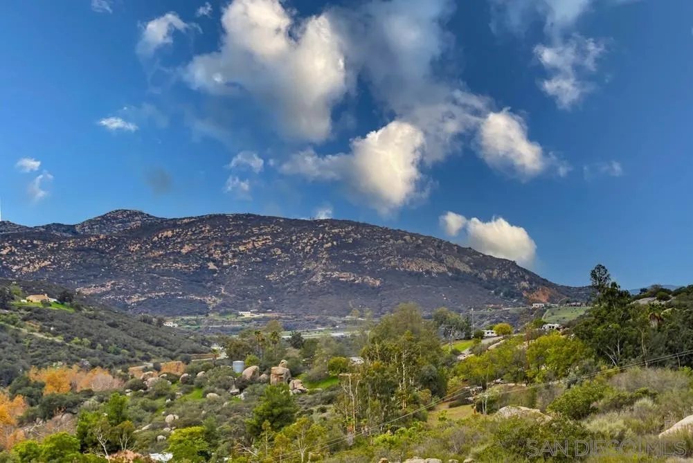 1478 Peutz Valley Road Alpine, CA 91901 - Photo 59 of 63 a view of a yard
