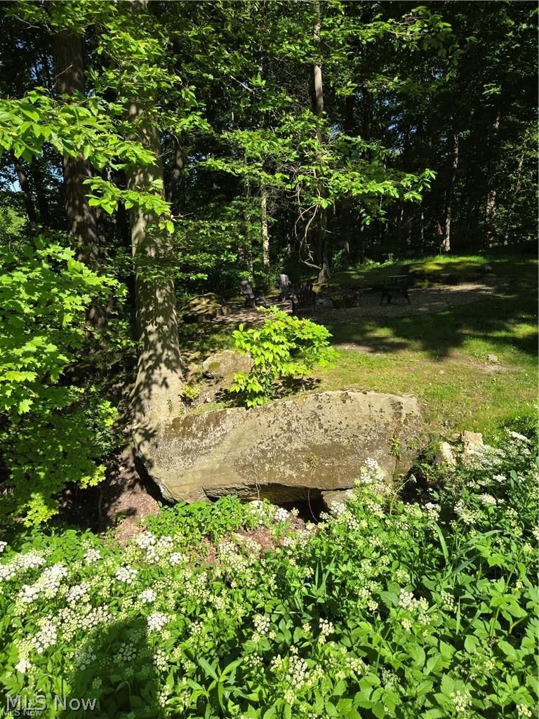 13725 Rockhaven Road Newbury, OH 44065 - Photo 27 of 31 boulders extend above the creek