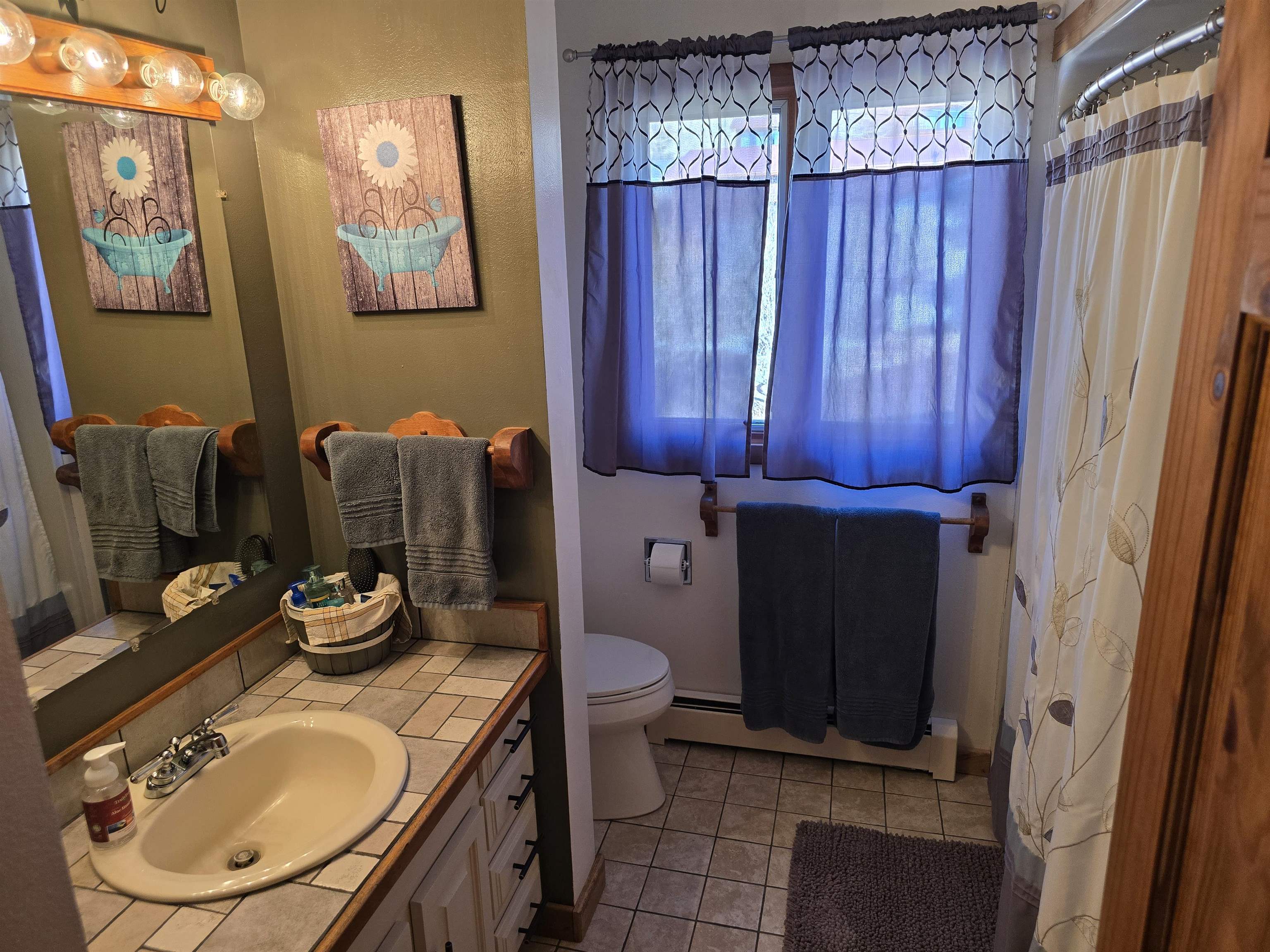 403 West Larsen Street Rawlins, WY 82301 - Photo 5 of 17