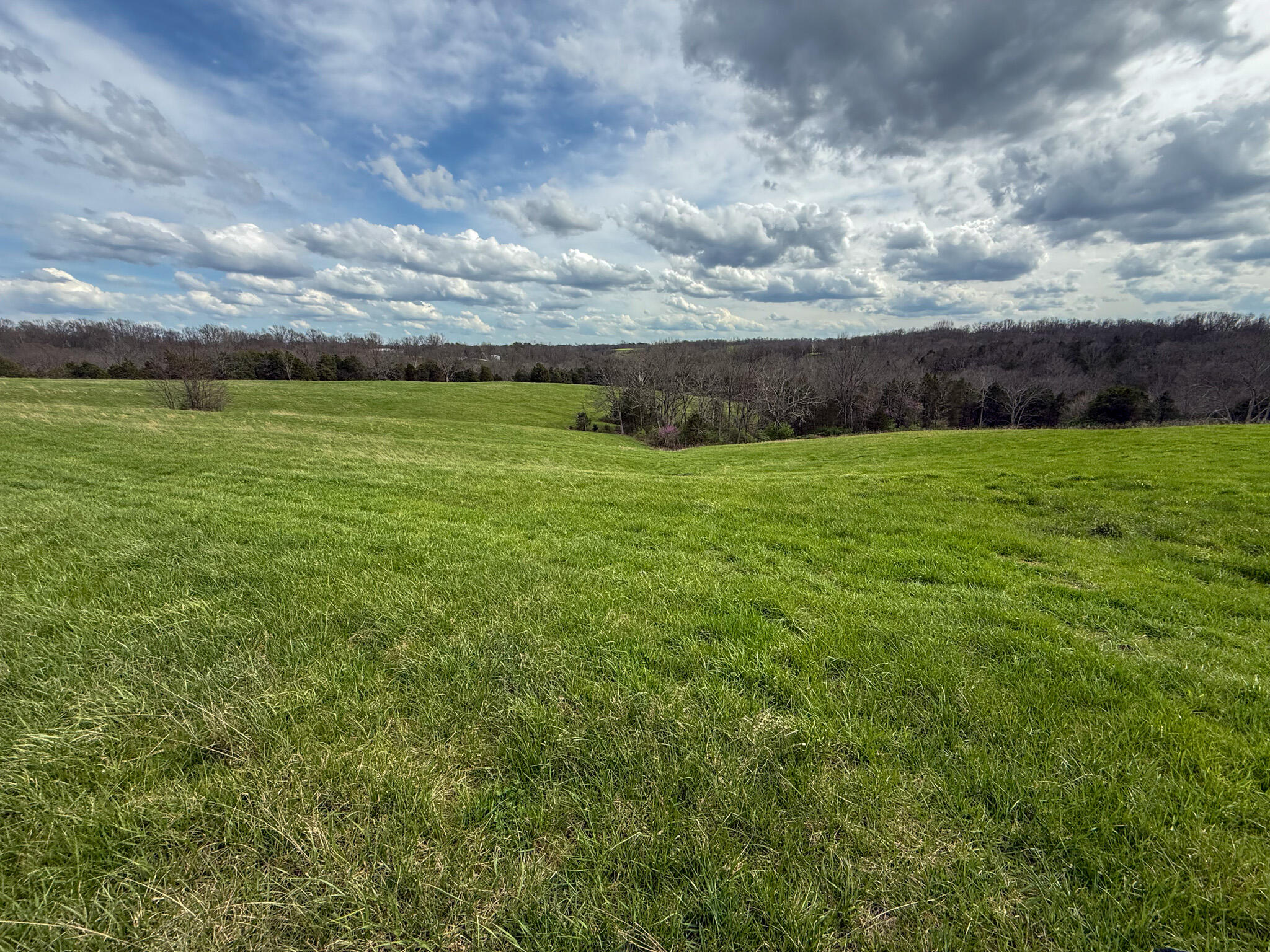 0 Anderson Road Crittenden, KY 41030 - Photo 5 of 38 Gallery Image 5
