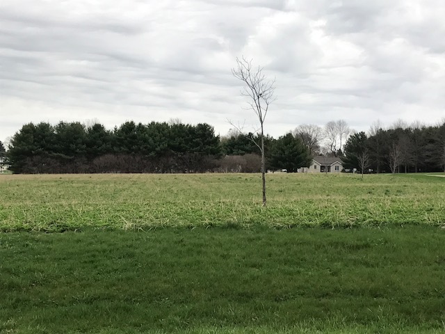 a view of a field with a big yard