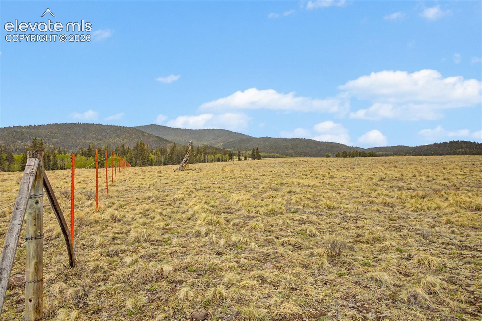 Ranger Station Road Florissant, CO 80816 - Photo 5 of 36 Gallery Image 5