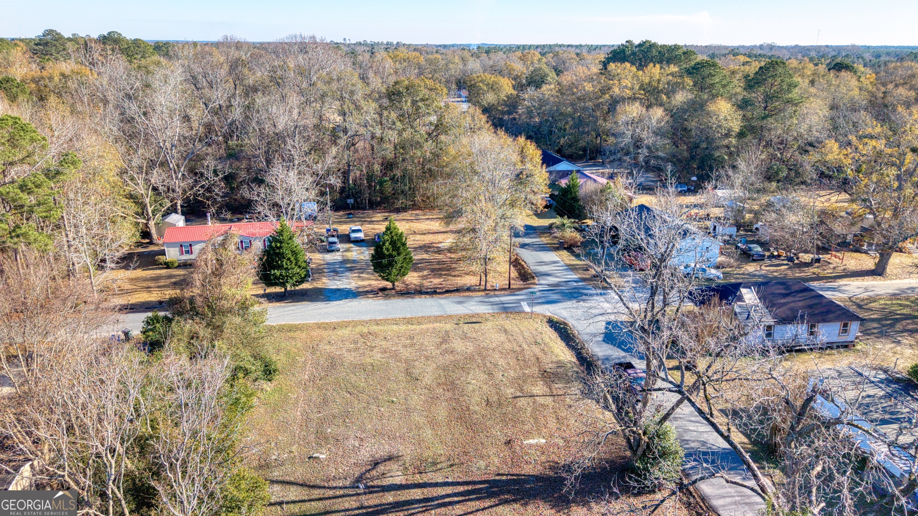 0 Woodard Dublin, GA 31021 - Photo 10 of 23